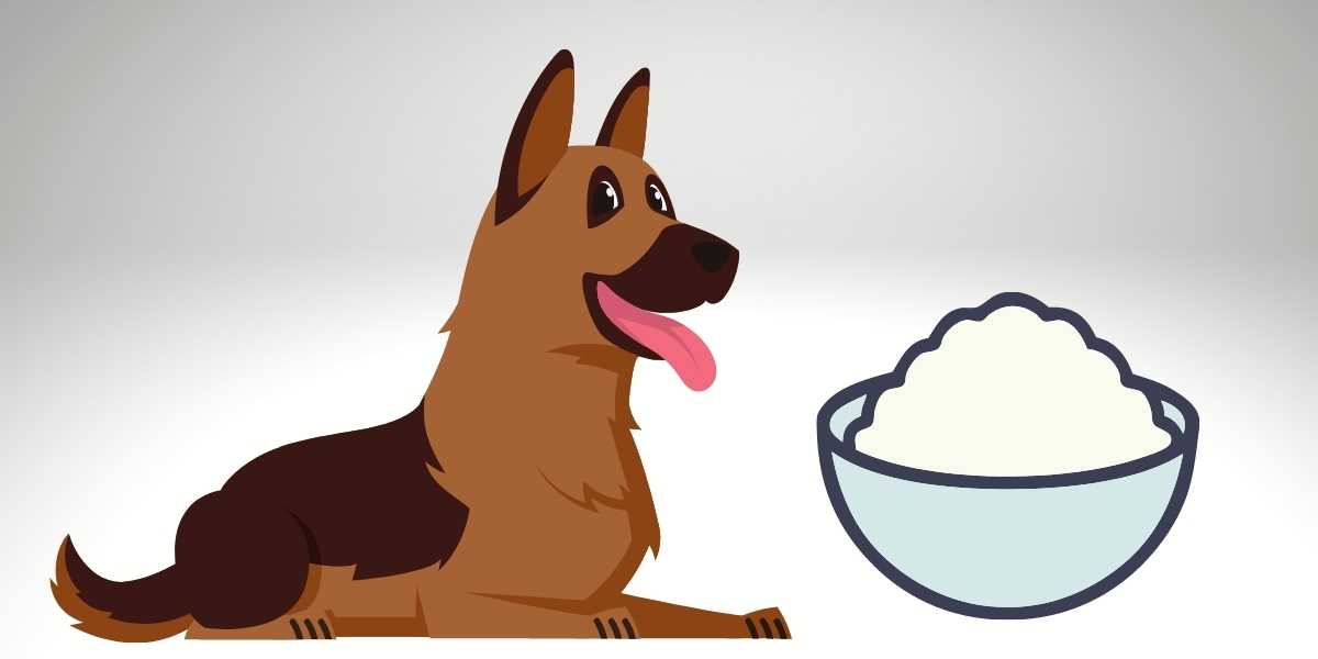 Can a German Shepherd Eat Rice