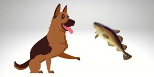 Can German Shepherds eat fish?