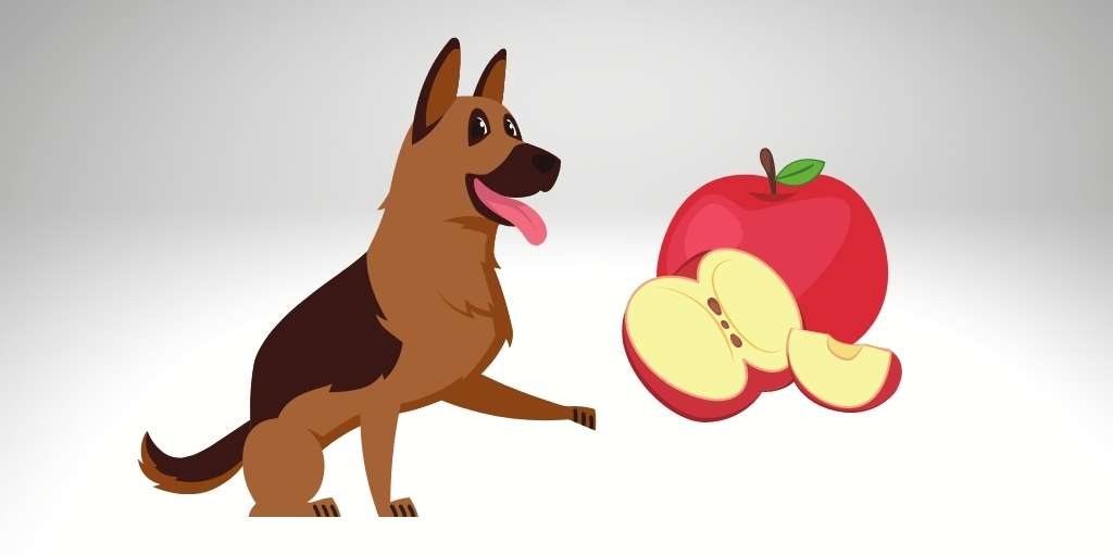 can german shepherd eat apple