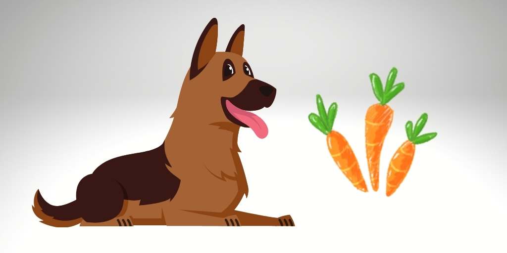 can german shepherd eat carrot