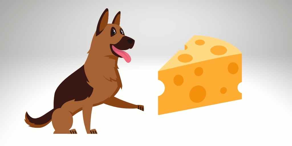 can german shepherd eat cheese