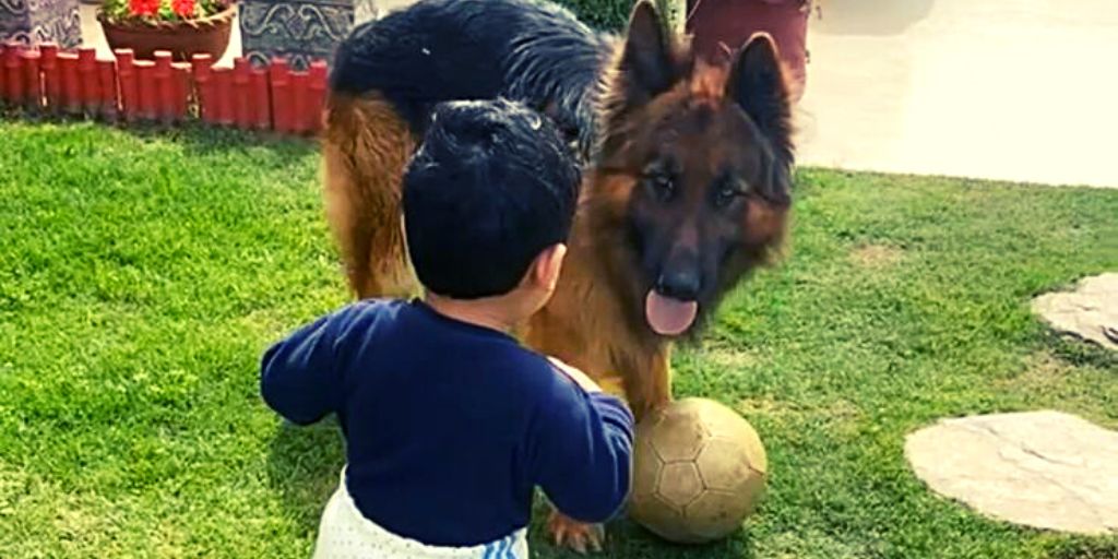 Are German Shepherds Good with Kids